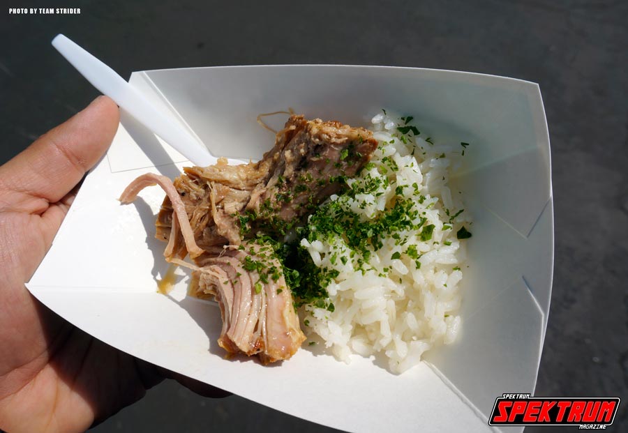 Slow-simmered pork with a side of rice and a bit of garnish